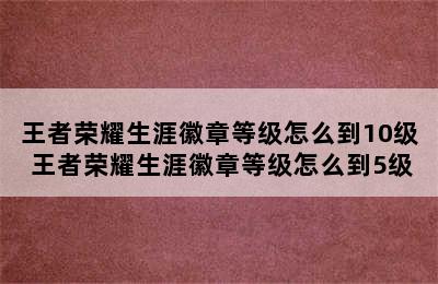 王者荣耀生涯徽章等级怎么到10级 王者荣耀生涯徽章等级怎么到5级